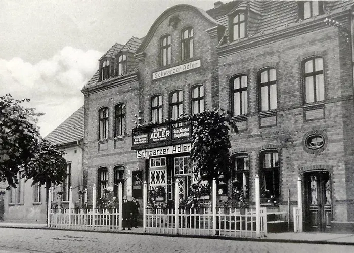 Schwarzer Adler