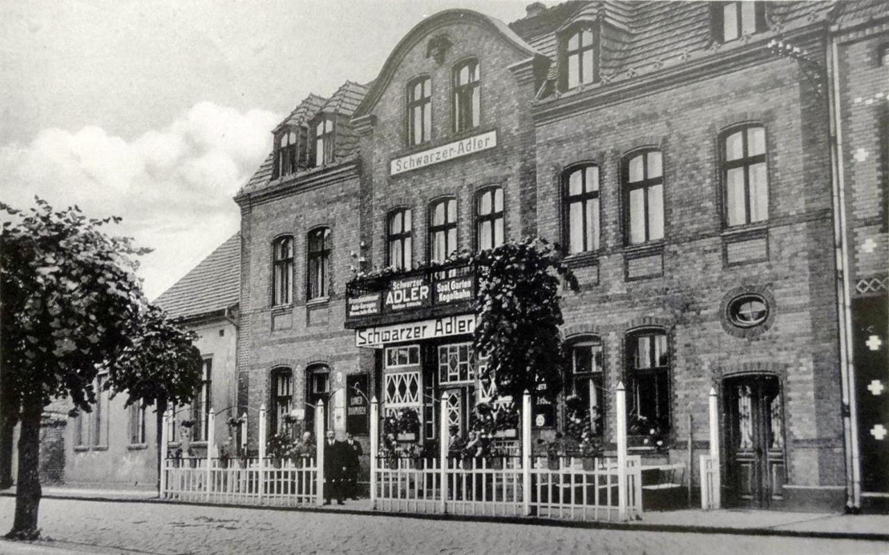 Schwarzer Adler *